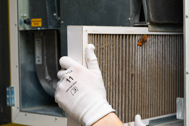 Best Ductwork Cleaning Services  in Clarkdale, AZ